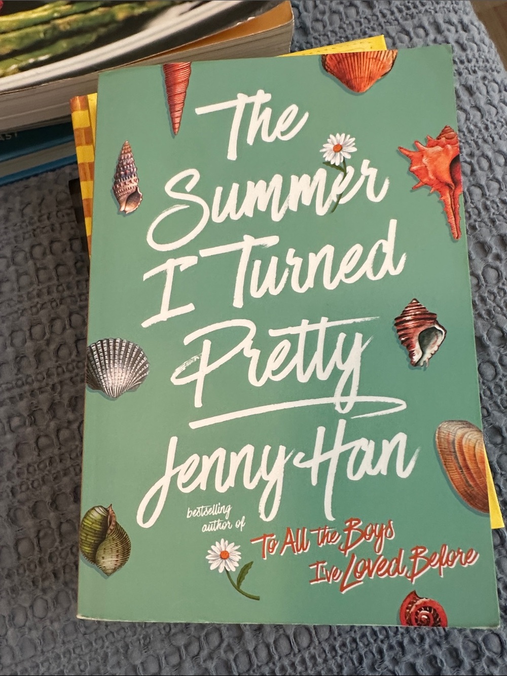 The Summer I Turned Pretty by - Teal Paperback Novel
